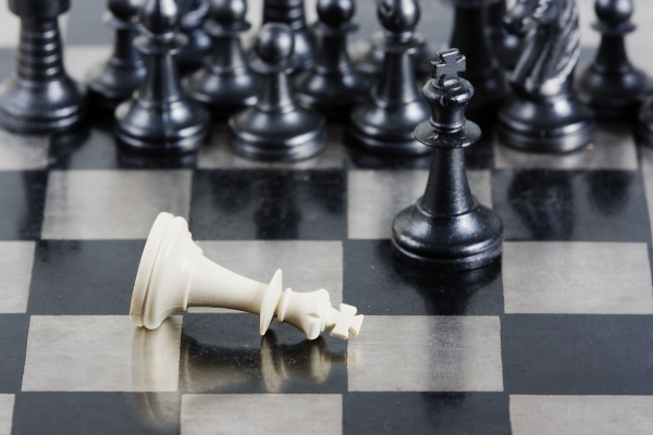 Checkmate - Project Recovery, Project Management