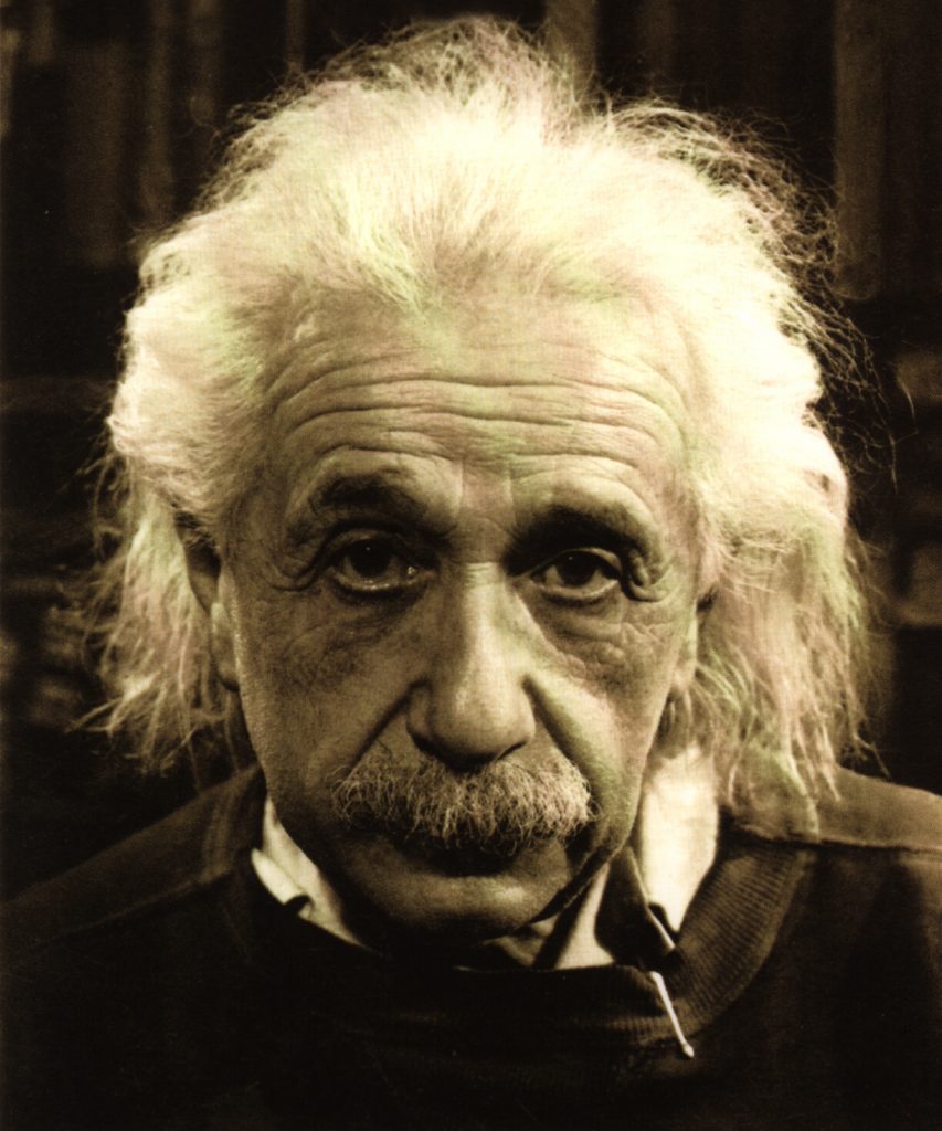 Einstein - Senior Projektmanager, Projektmanagement