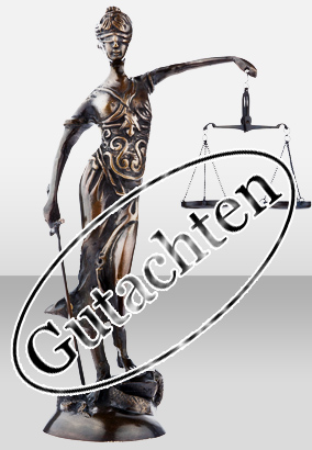 Justitia- Project Revision and Expert Assessment